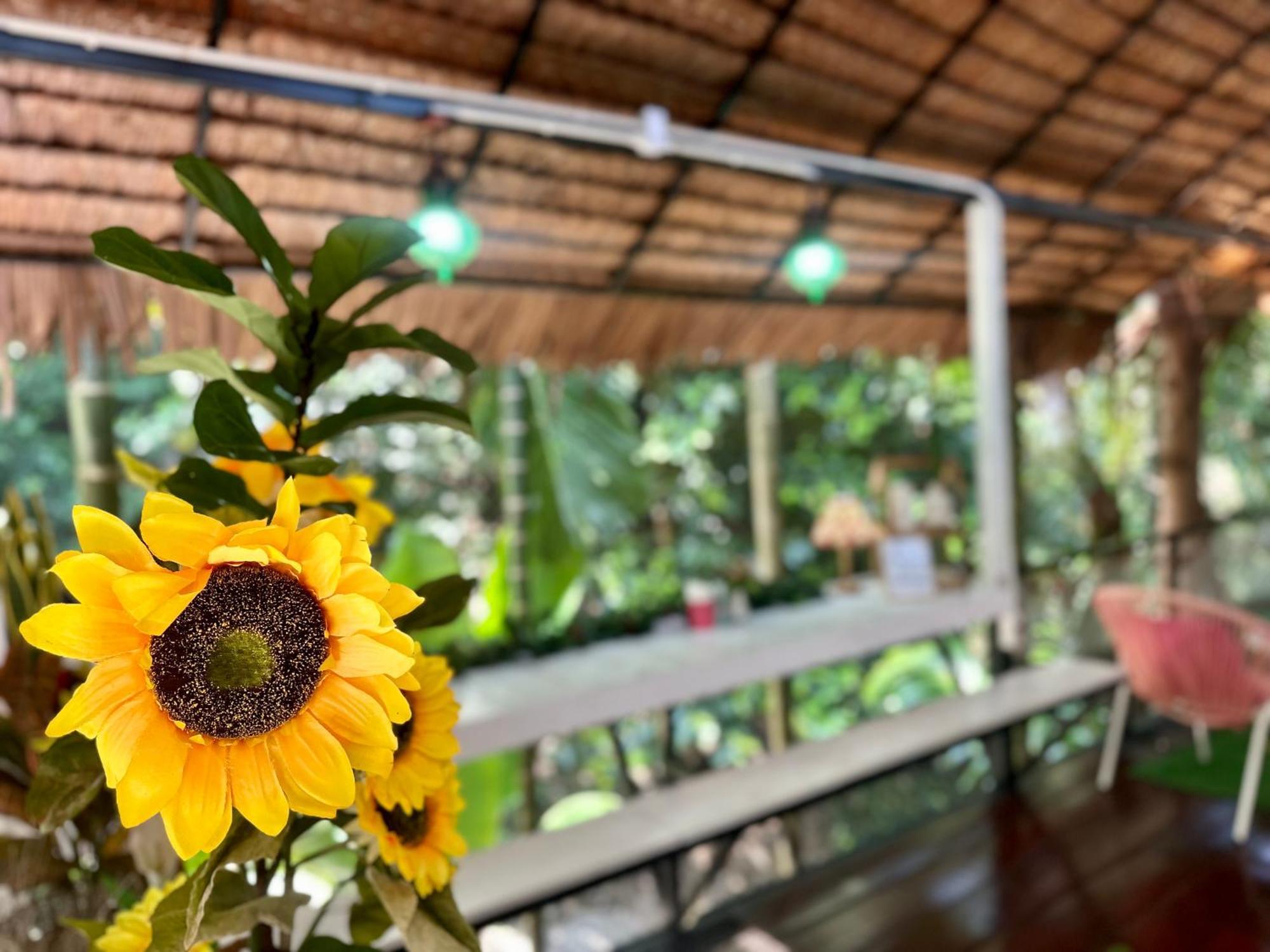 Nua Tone Resort Bang Tao & Cafe Dış mekan fotoğraf